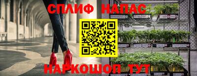 mdpv Пушкино