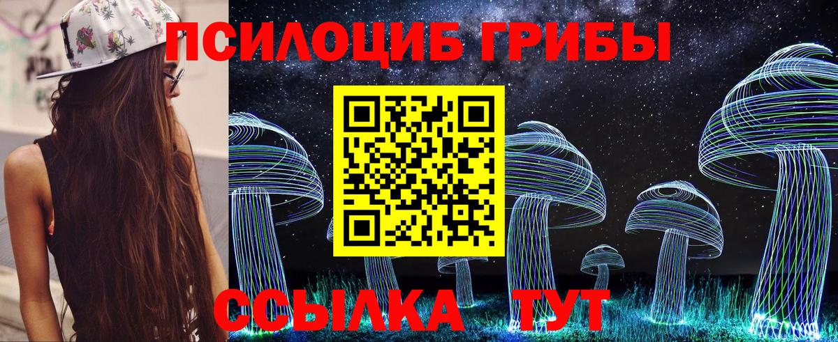 Псилоцибиновые грибы мицелий  Псилоцибиновые грибы мицелий  Сосновоборск  Вход с VPN 